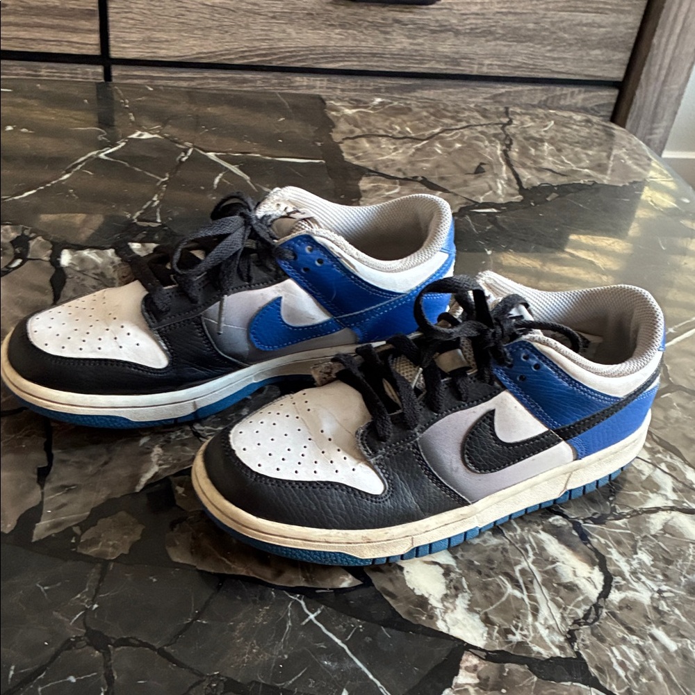 Nike EUC Dunk Low Youth's Big Kids Black, White, and Blue Sneakers